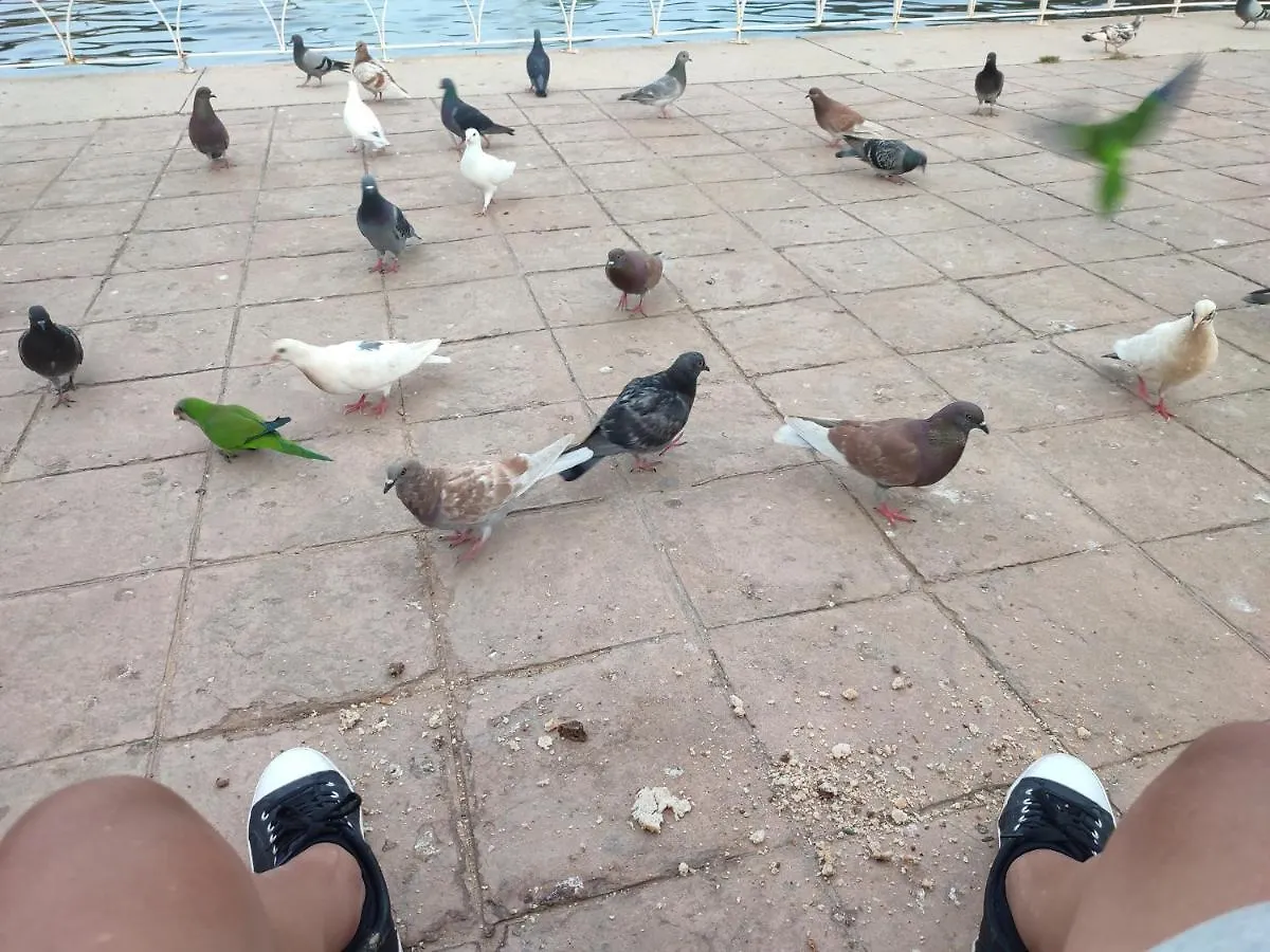 Appartamento Parque Del Mediterraneo Málaga
